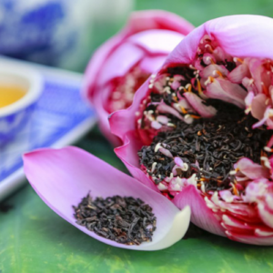 Trà ướp sen