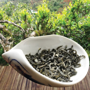 Trà Shan Tuyết